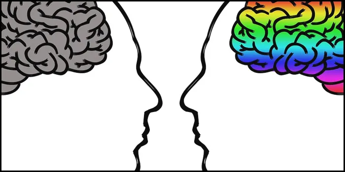 モノクロの脳と虹色の脳の対比