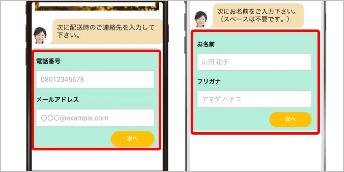 ドクタースティックタイプX公式サイトで申し込みする流れ4