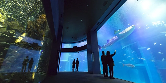 海遊館内でタバコは吸えない