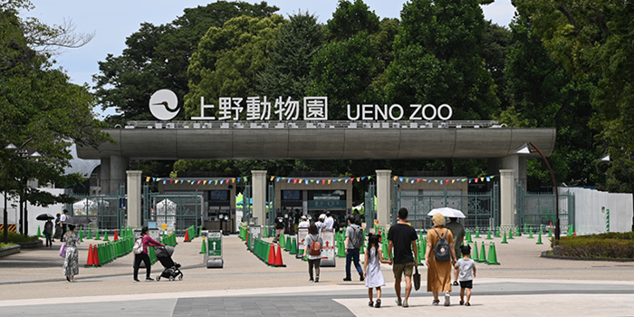 上野動物園内でタバコは吸えない
