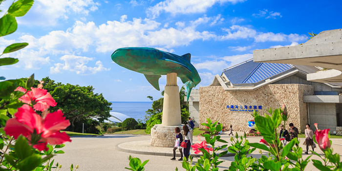 美ら海水族館内に喫煙所はない