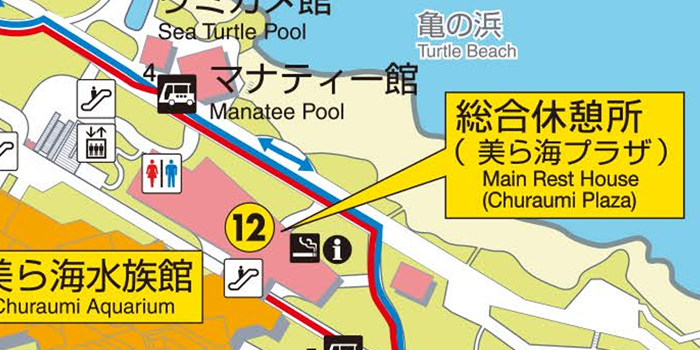 美ら海プラザ(総合休憩所)の建物そば