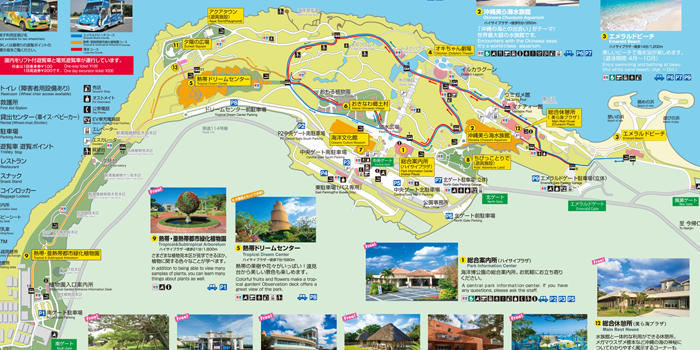 【最新】美ら海水族館の喫煙所