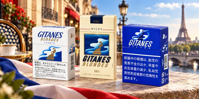 ジタンとフランスのイメージ