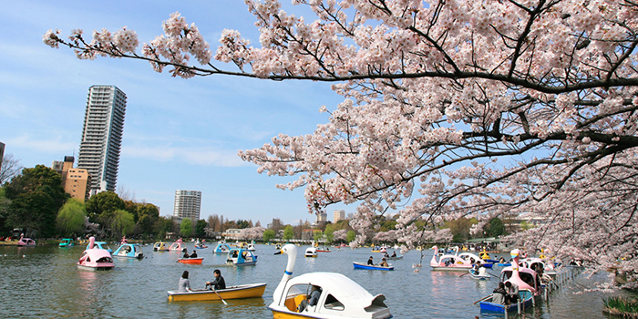 上野公園の喫煙ルール